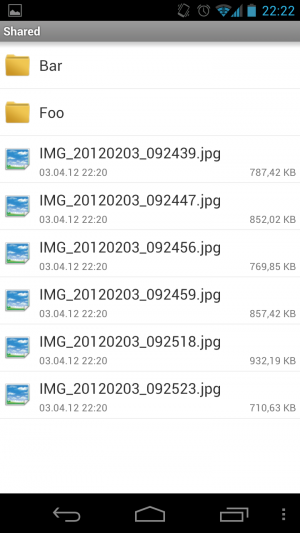 Abbildung 8: Wie bei Dropbox oder anderen Cloud-Speicherdiensten haben Sie mit DS file Zugriff auf die Daten der NAS.