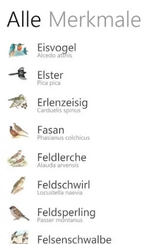 Auch Locustella Naevia, auf deutsch Feldschwirl, ist der App bekannt.