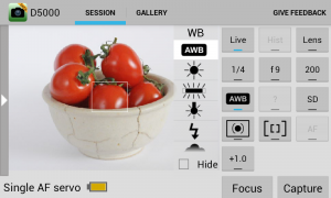 Abbildung 10: Remote Your Cam USB Pro bietet grundlegende Funktionen zur Kamera-Fernsteuerung.
