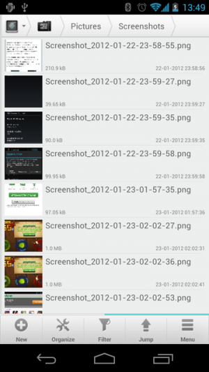 Abbildung 1: Bilder sehen Sie in der Dateiliste immer als kleines Thumbnail.