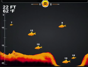 Wo schwimmen die Fische? Deeper zeigt es an.