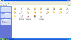 Der Windows Explorer zeigt die Inhalte auf der Speicherkarte an.