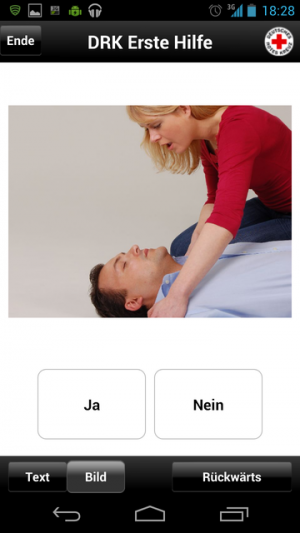 Abbildung 2: Die Assistentin stellt Ihnen Fragen, die Sie mit Ja/Nein beantworten.