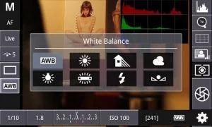 DSLR Controller hat viele Funktionen, vor dem Kauf aber unbedingt Kompatibilität prüfen!