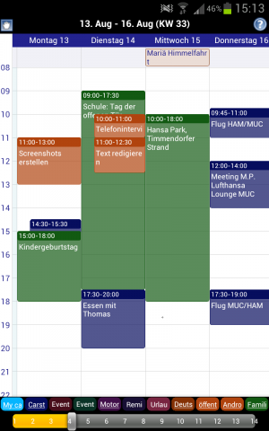 Abbildung 5: Business Calendar hält sich optisch an den gewohnten Anblick der Weboberfläche von Google-Kalender.