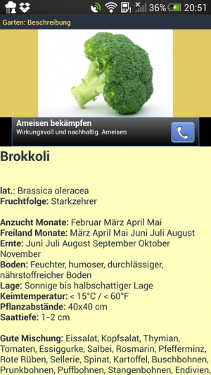 Abbildung 8: Garten: Gemüsepflanzen informiert über die bekanntesten Pflanzen kurz und knapp.