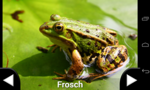 Abbildung 4: Große Fotos und recht gute Tonaufnahmen machen Tierlaute für Kleinkinder zum idealen Buch-Ersatz.