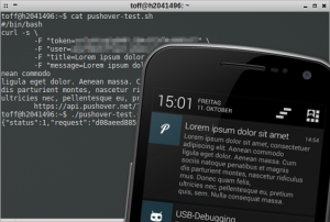 Abbildung 4: Aus dem Terminal lässt sich mit einem simplen Curl-Befehl eine Nachricht versenden.