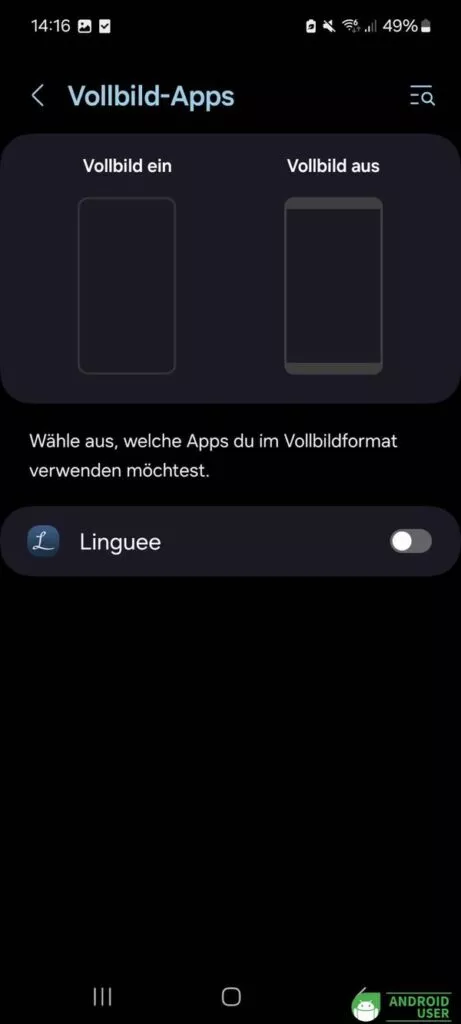 Apps auswählen, die im Vollbildmodus laufen soll