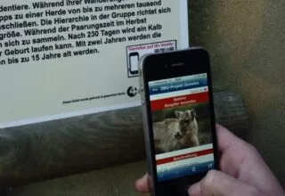 Osnabrücker Zoo setzt auf QR-Codes