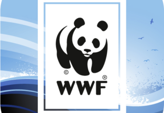 WWF Fischratgeber: Hilfe beim Fischkauf