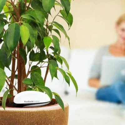 Du steckst den Plant Sensor in die Erde und nach erfolgter Verbindung erhältst du Push-Benachrichtigungen auf dein Smartphone um deine Pflanzen vor dem Verdursten zu retten.