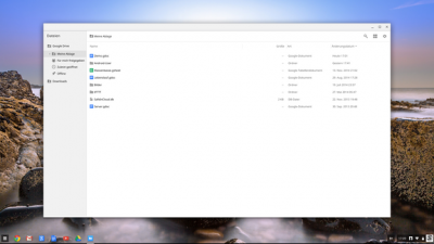 Der File-Explorer bietet Zugriff auf die 32 GB SSD des Chromebooks.