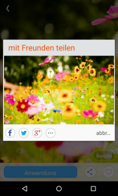 Die ausgesuchten Dekorationen kannst du mit Freunden teilen, oder deinen Favoriten-Listen hinzufügen. 