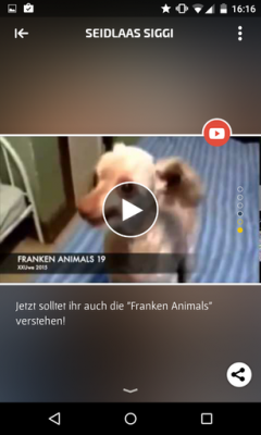 Nicht nur aktuelle News, nein, auch lustige Tiergeschichten sind in der App zu finden.