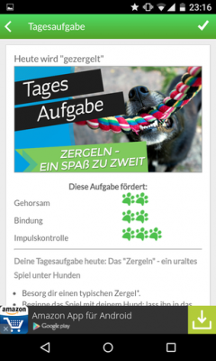Jede Tagesaufgabe wird genauestens erklärt.