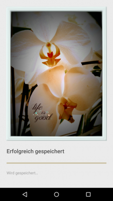 Durch eine Klick auf die kleine Diskette werden deine Bilder gespeichert.
