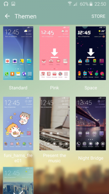 Der Theme-Support fällt noch etwas dürftig aus. Er ist zudem an ein Samsung-Apps-Konto gekoppelt.
