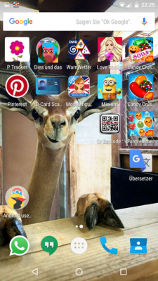…schon schaut dich ein Tier an.