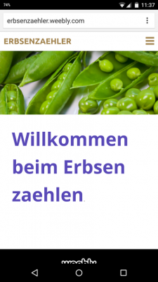 Das Erstellen und veröffentlichen der Seite über Internet funktioniert.