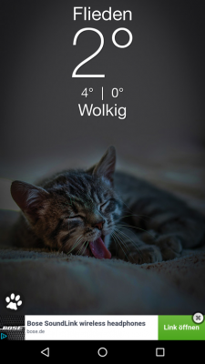 Dein Standort mit Temperaturanzeige und Katzenbild.