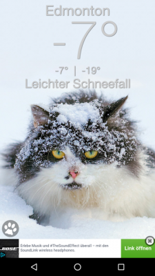 Per Swype-Geste nach links änderst du den Standort und das Katzenbild.
