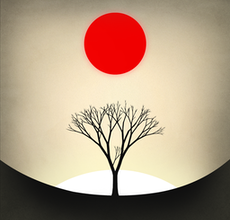 Prune – Ein Liebesbrief für einen Baum und Meditation für dich