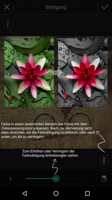 Du hebst bestimmte Bereiche des Bildes farblich hervor.