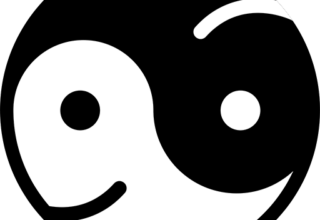 uCIC – Ich sehe was du siehst (oder auch nicht)