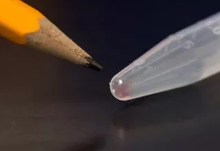 DNA statt microSD-Karte: Wie die Natur unsere Speicherprobleme löst