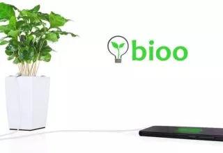 Bioo Lite: Lade dein Smartphone mit einer Topfpflanze bis zu dreimal täglich