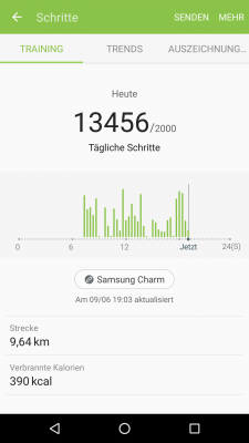 Deine täglich gemachten Schritte zeigt die App in einem Diagramm an. Ebenso siehst du hier deine zurückgelegten Kilometer pro Tag sowie die dadurch verbrauchten Kalorien.