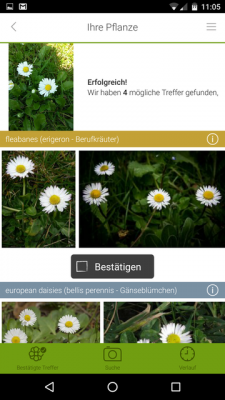 Zu Einstieg etwas einfaches. Oben findest du dein erstelltest Bild. Mögliche Treffer sind untereinander aufgelistet.