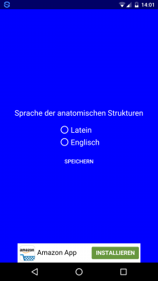Du gibst die Antworten in Latein oder Englisch.