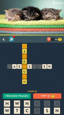 Du tippst die richtigen Buchstaben an. Sobald du einen Lösungstipp der App möchtest kostet es dich Goldmünzen.