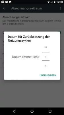 Mobile Datennutzung: Hier gibst du den Abrechnungszeitraum ein.