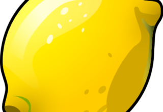 Lemonball – Ran an die Zitronen