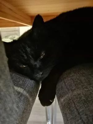 Huawei 20 Night Mode | Android-User.de