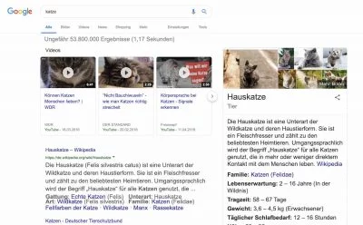 Knowledge Graph 1 | Android-User.de