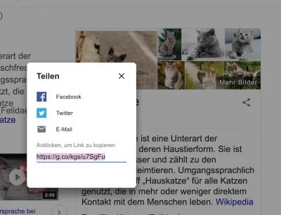 Knowledge Graph 5 | Android-User.de