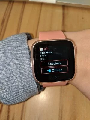 Fitbit 20 | Android-User.de