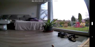 Reolink 17 | Android-User.de
