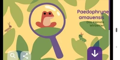 Google Doodle 4 | Android-User.de