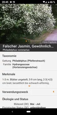 Flora 5 | Android-User.de