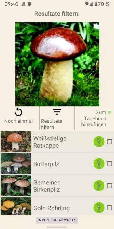 Pilze 11 | Android-User.de