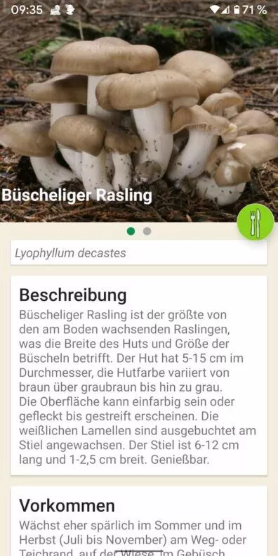 Pilze 5 | Android-User.de