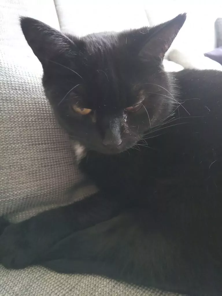 CAT 23 | Android-User.de