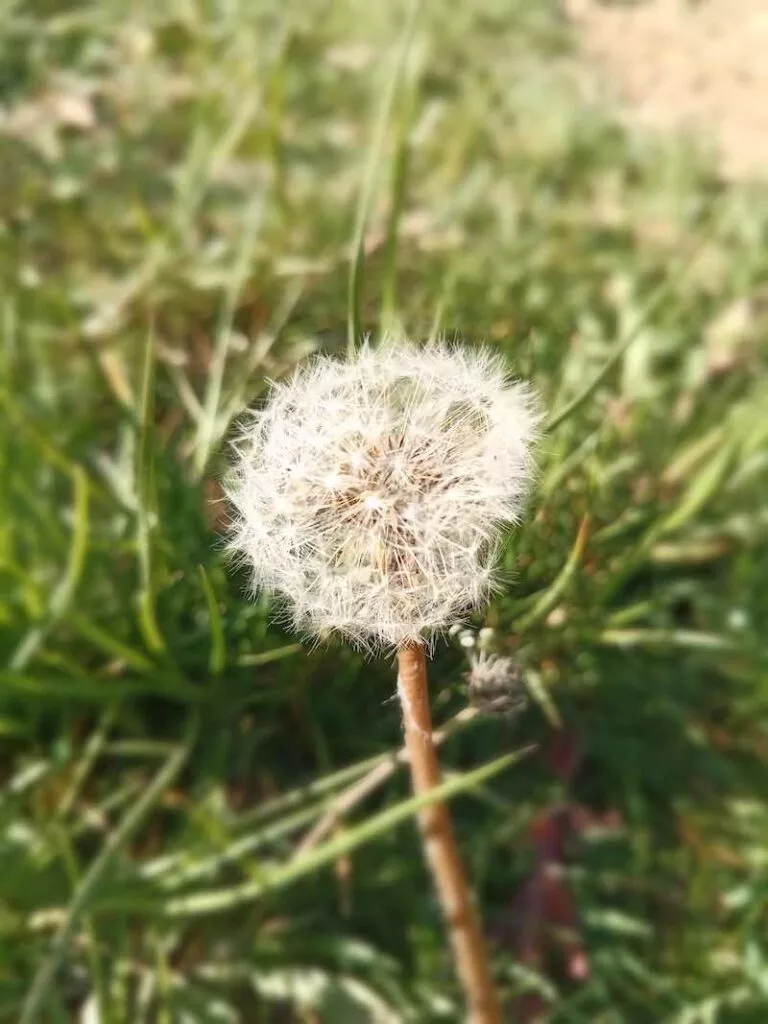 Doogee 31 Bokeh | Android-USer.de