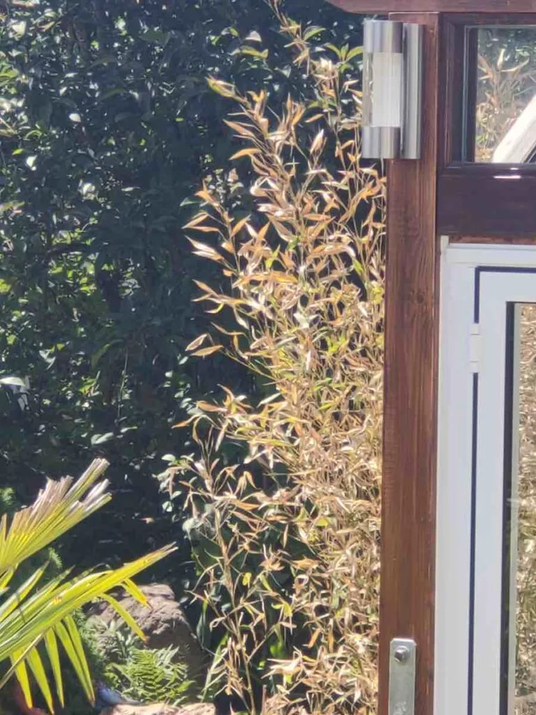 6 Pro 27 5 fach zoom | ANdroid-User.de