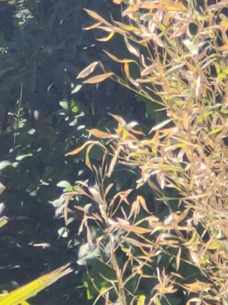 6 Pro 28 10 fach zoom | Android-User.de